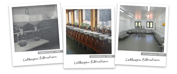 Collagen filtration 1984, 1998 and 2020