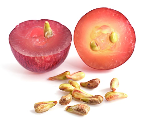 Activated grape seed extract