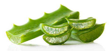 Aloe Vera gefriergetrocknetes Gel Pulver 200:1 - IASC zertifizierte Aloe Vera-Qualität