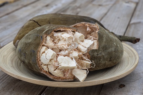 Baobab Kernöl (Moyo) raffiniert - Tiefenwirkung vom Baum des Lebens