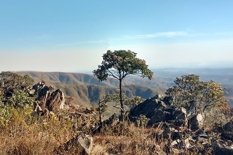 alpha-Bisabolol natural (A) - hochreiner Wirkstoff für sensible Haut