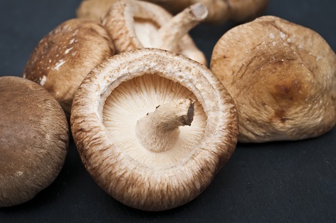 ViaFerm® White Shiitake - a skin-tone lightening ferment